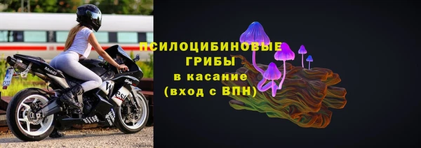 шишки Богородск