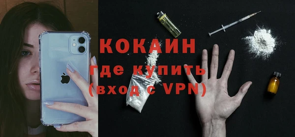 шишки Богородск
