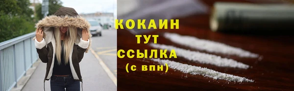 шишки Богородск