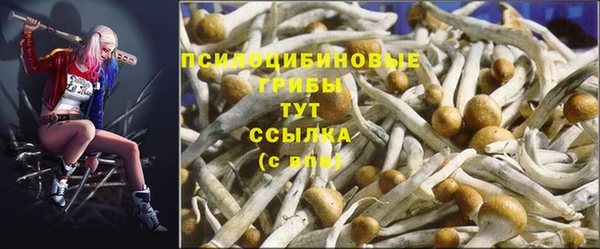 а пвп мука Богданович