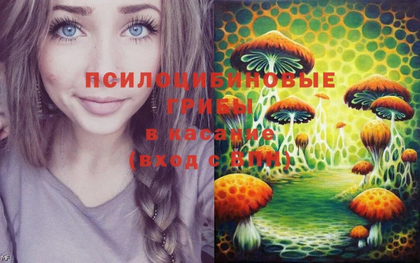 спайс Богородицк
