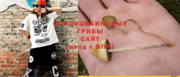 а пвп мука Богданович