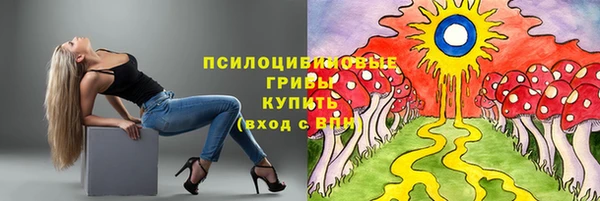 а пвп мука Богданович