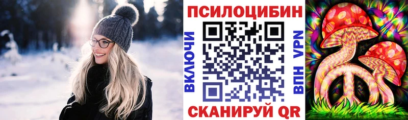 дарнет шоп  Красноуральск  Псилоцибиновые грибы GOLDEN TEACHER 